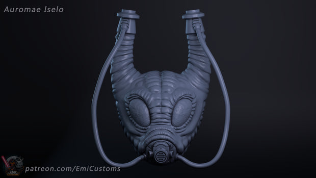 Auromae Iselo Head Sculpt
