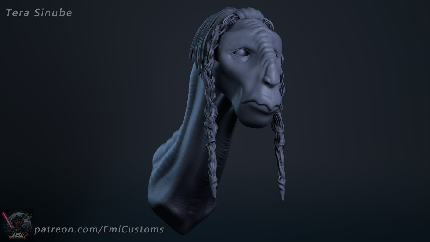Tera Sinube Head Sculpt